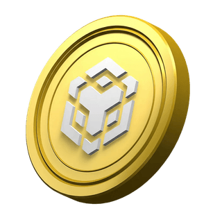 Decorative BNB coin within the platform information section